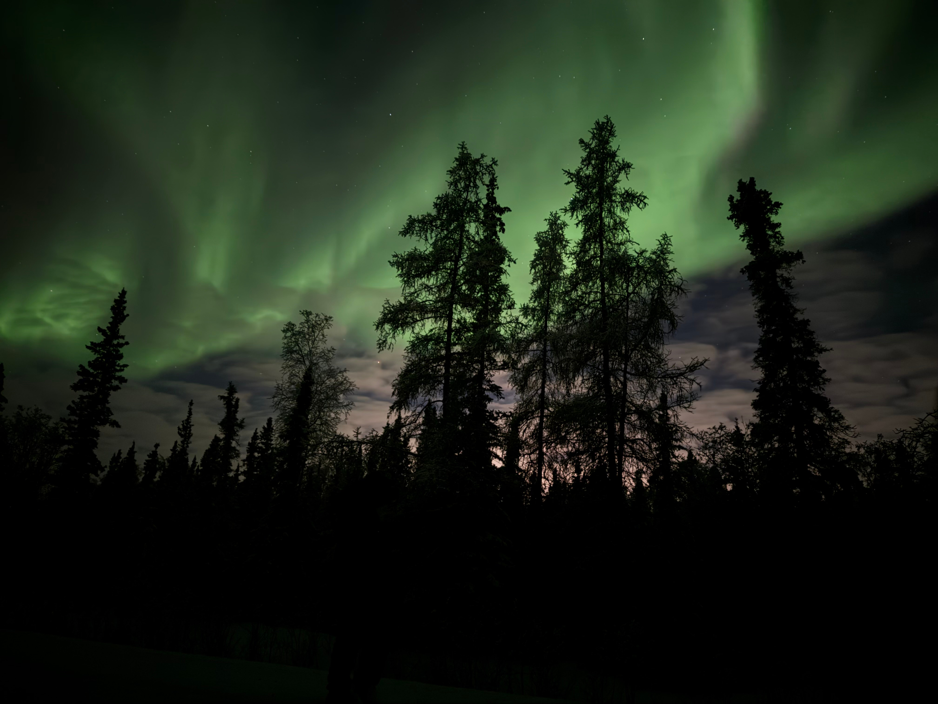 Yellowknife City Tour