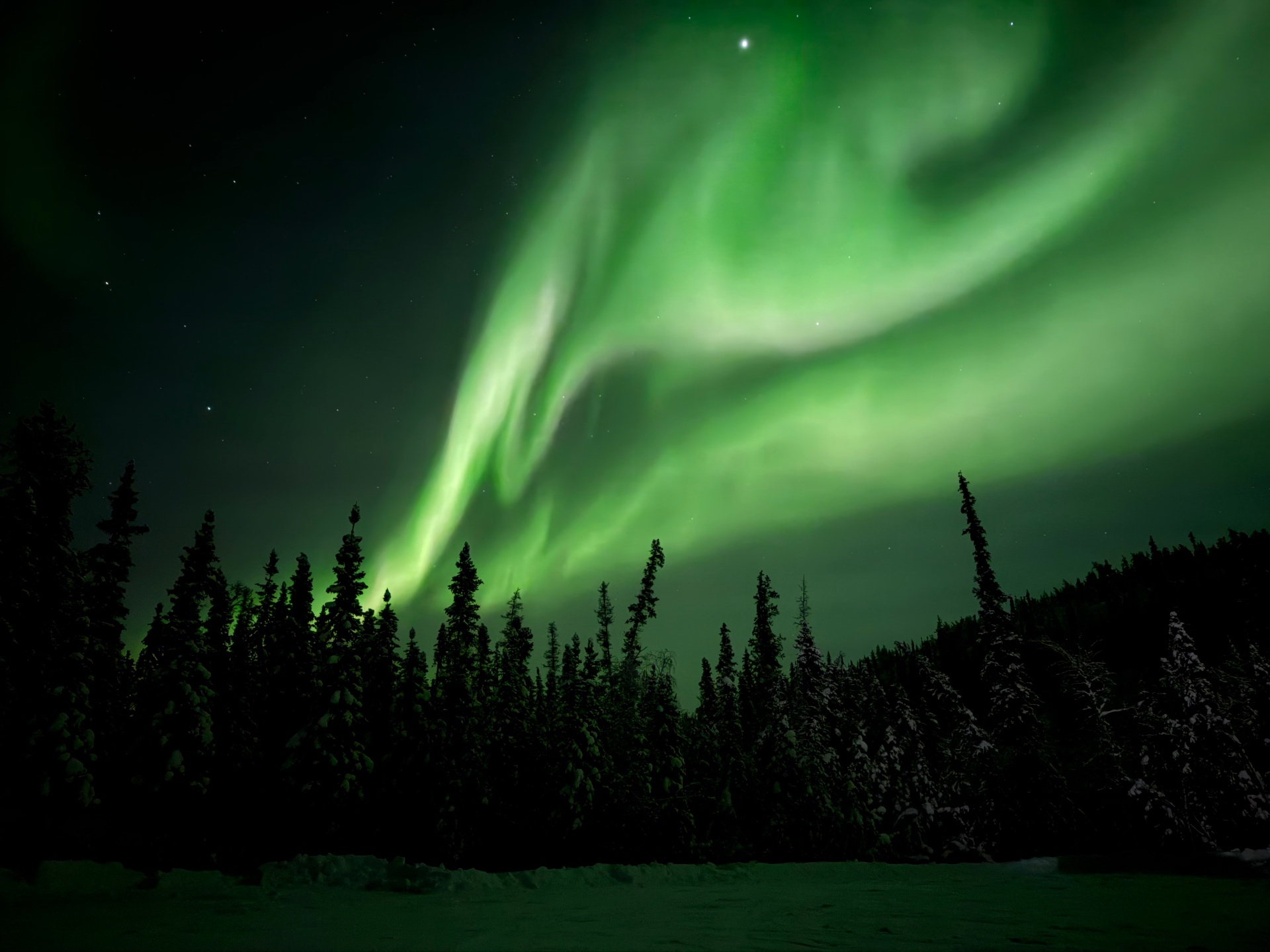 Stunning green aurora over boreal forest